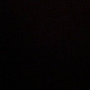 Meet your Posher, Selina